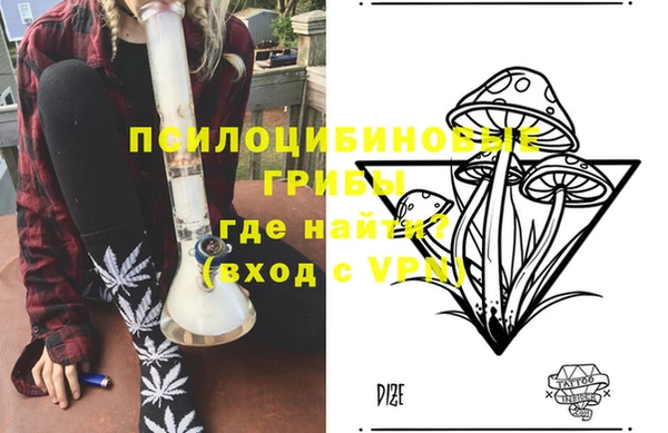 МДПВ Алексин