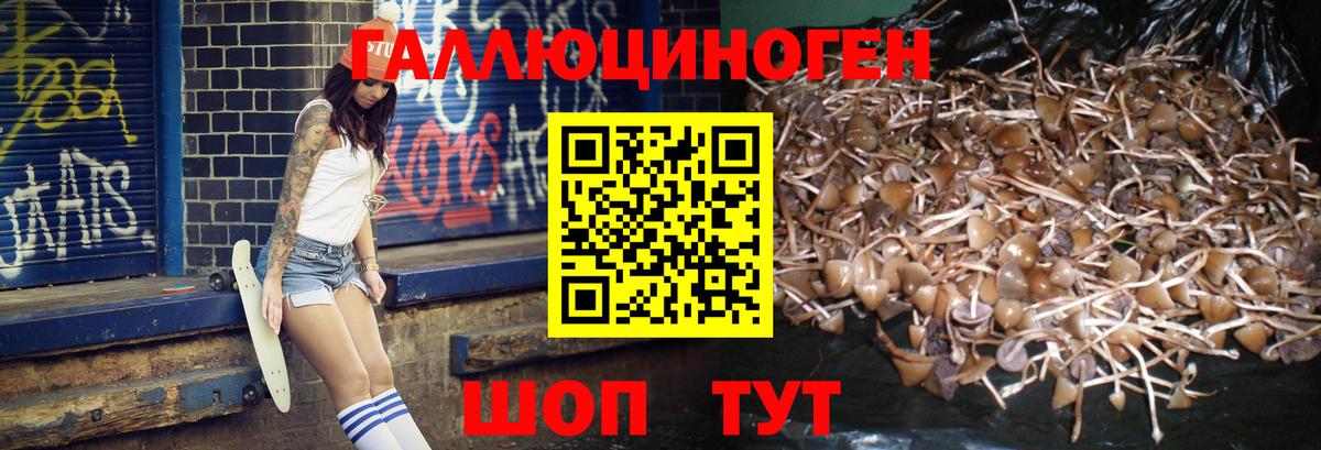 Псилоцибиновые грибы Psilocybe  Вход с VPN  Мегион 